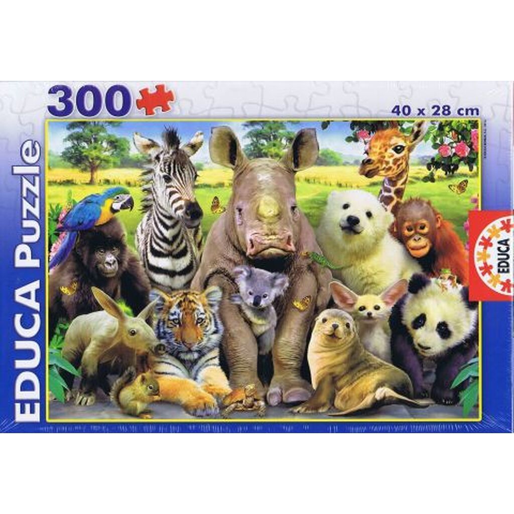 Klassefoto - 300 brikker