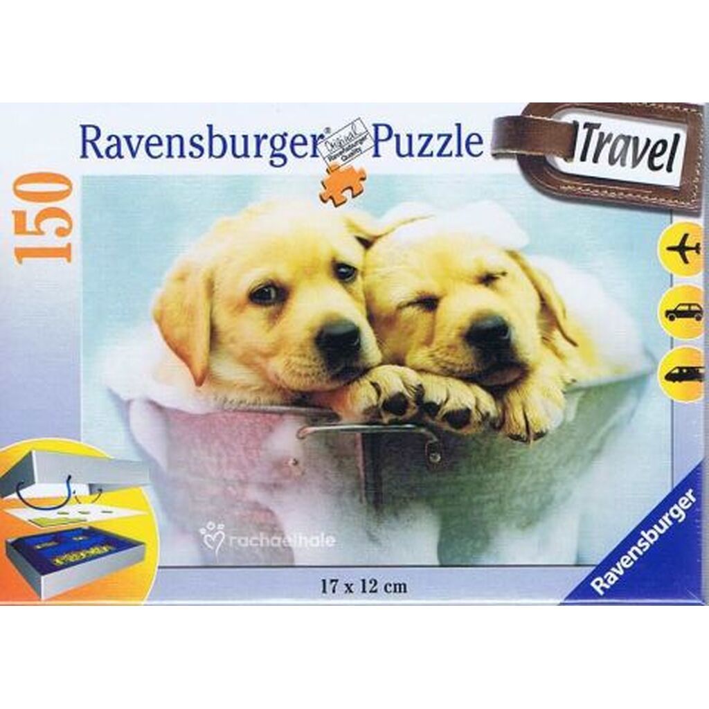 Sudsy Pups, Travel