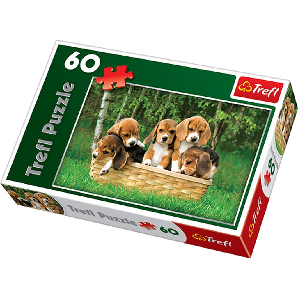 Beagle Puppies, 60 brikker
