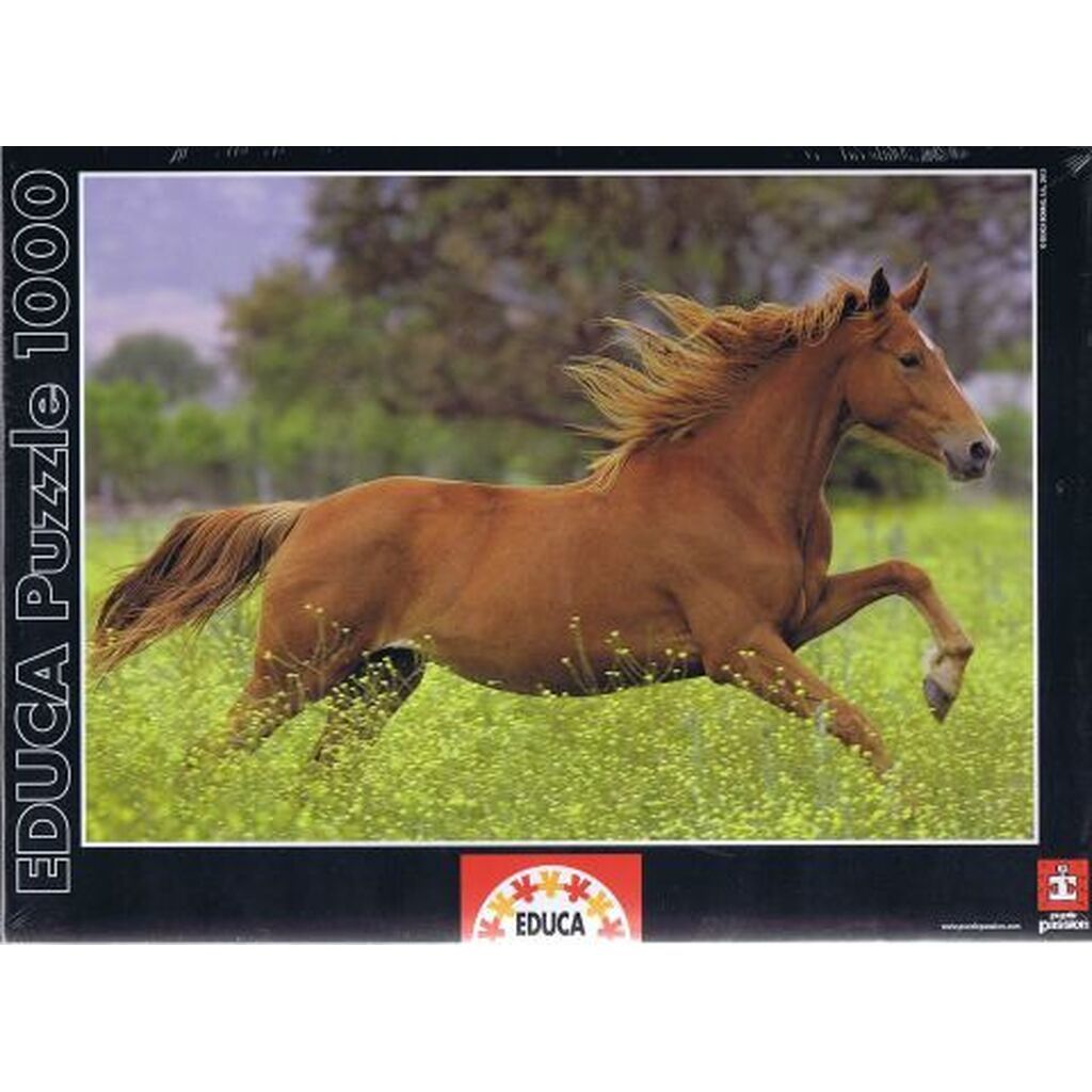 Grand Galop - 1000 brikker