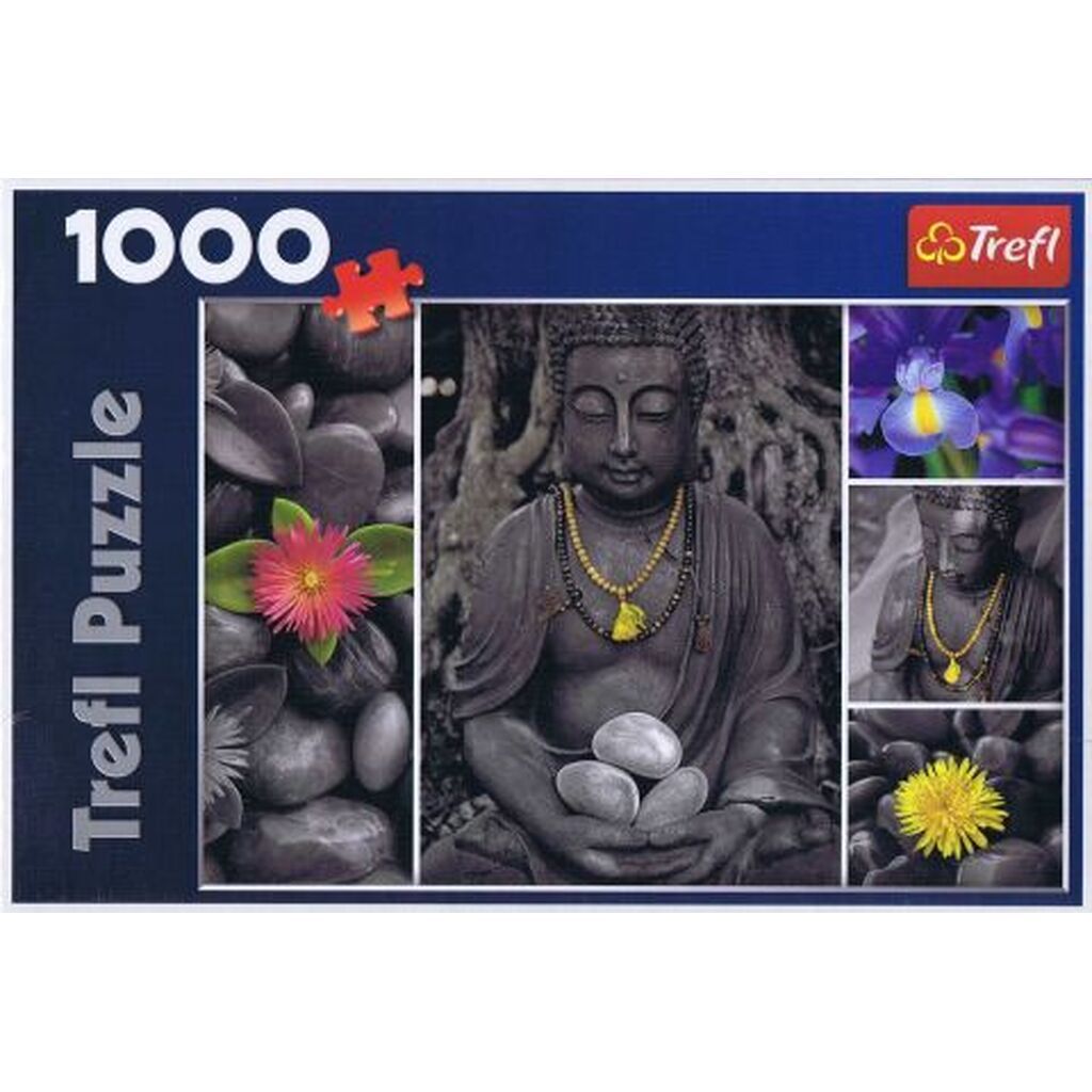 Buddah - 1000 brikker