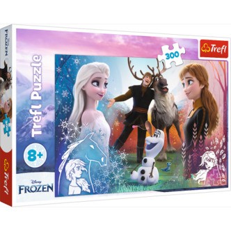 Frozen - 300 brikker
