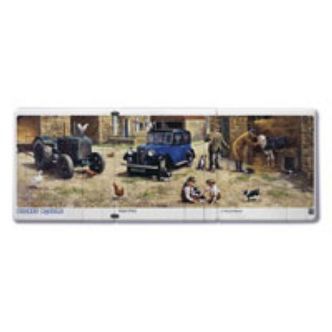 Pocket Puzzle, Vets Visit