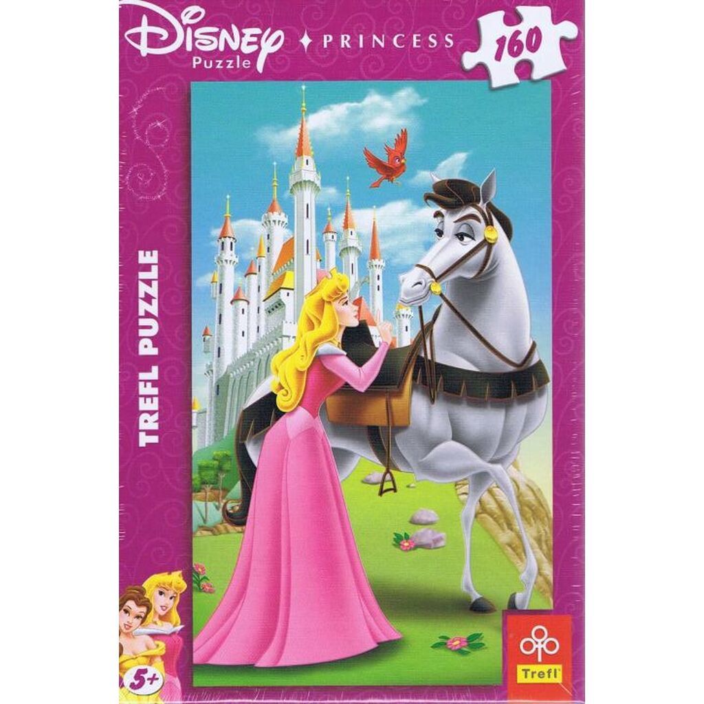 Princess, 160 brikker