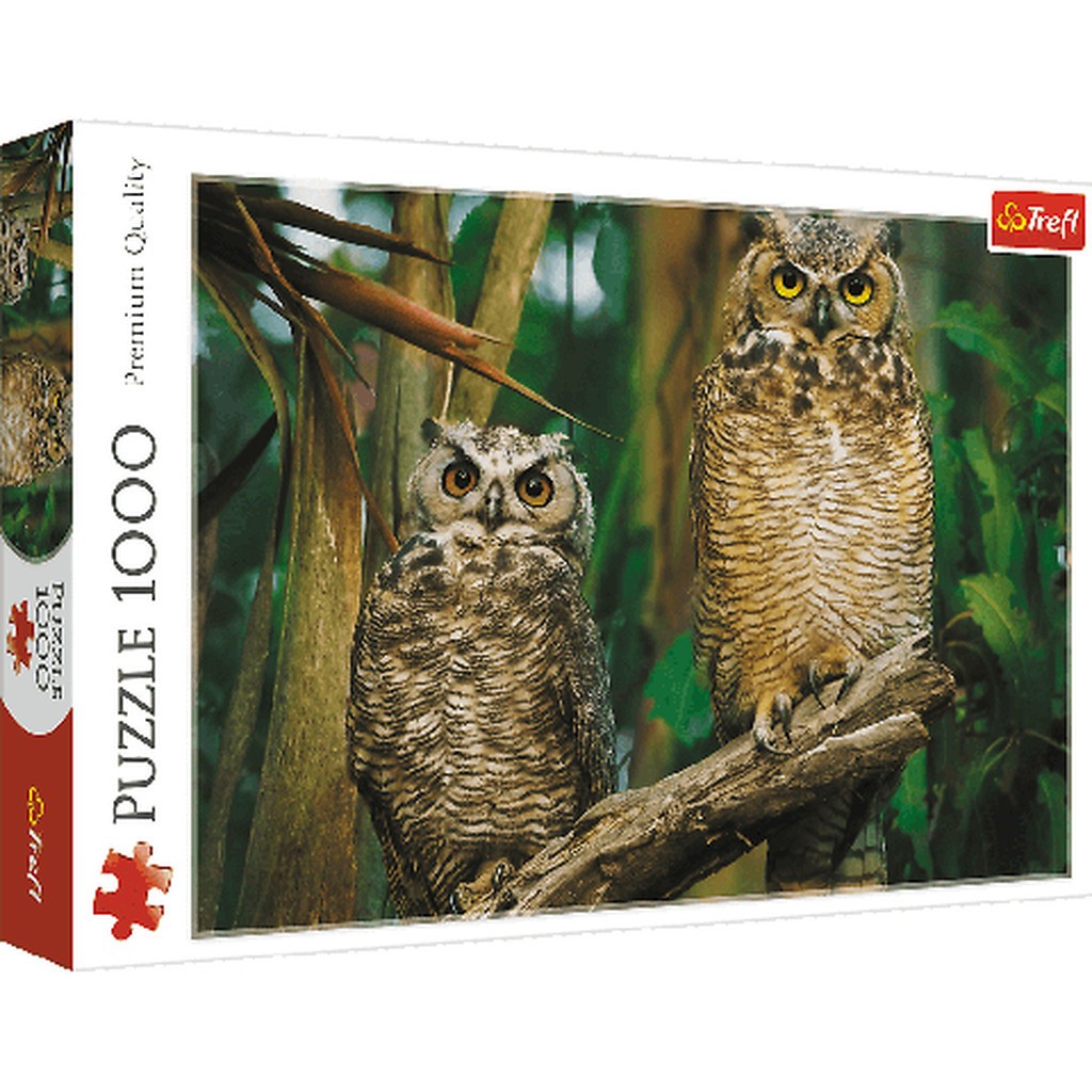 Owls - 1000 Brikker