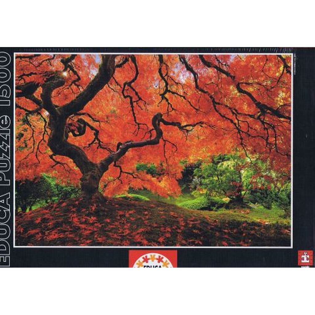 Japanesse Garden - 1500 brikker