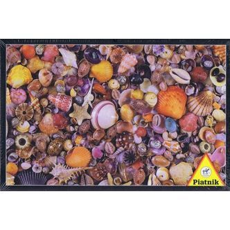 Seashell, 1000 brikker