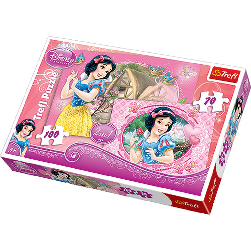 Disney Princess - 70 + 100 brikker