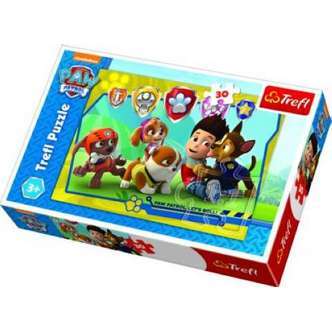 Paw Patrol, 30 brikker