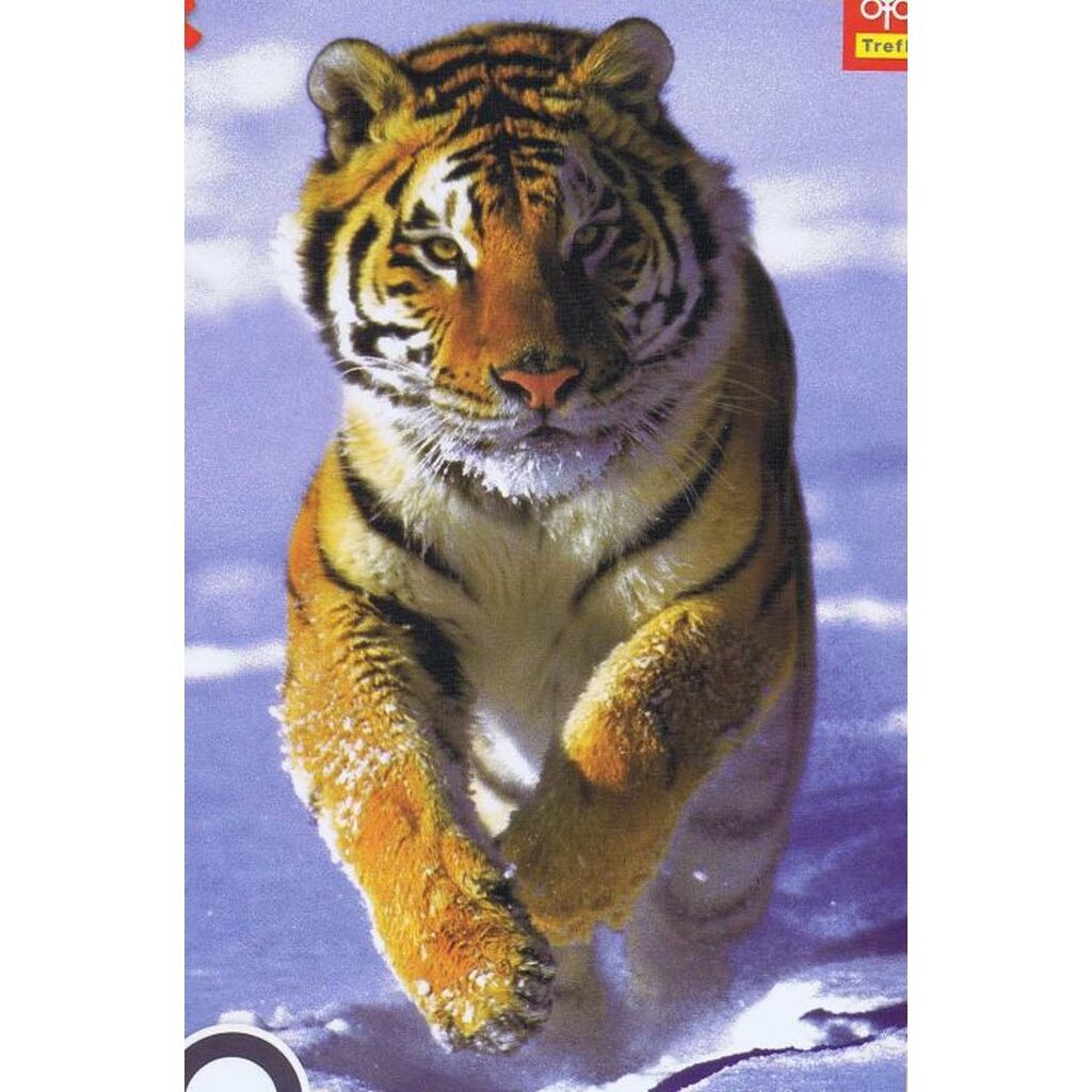 Snow Tiger - 500 brikker