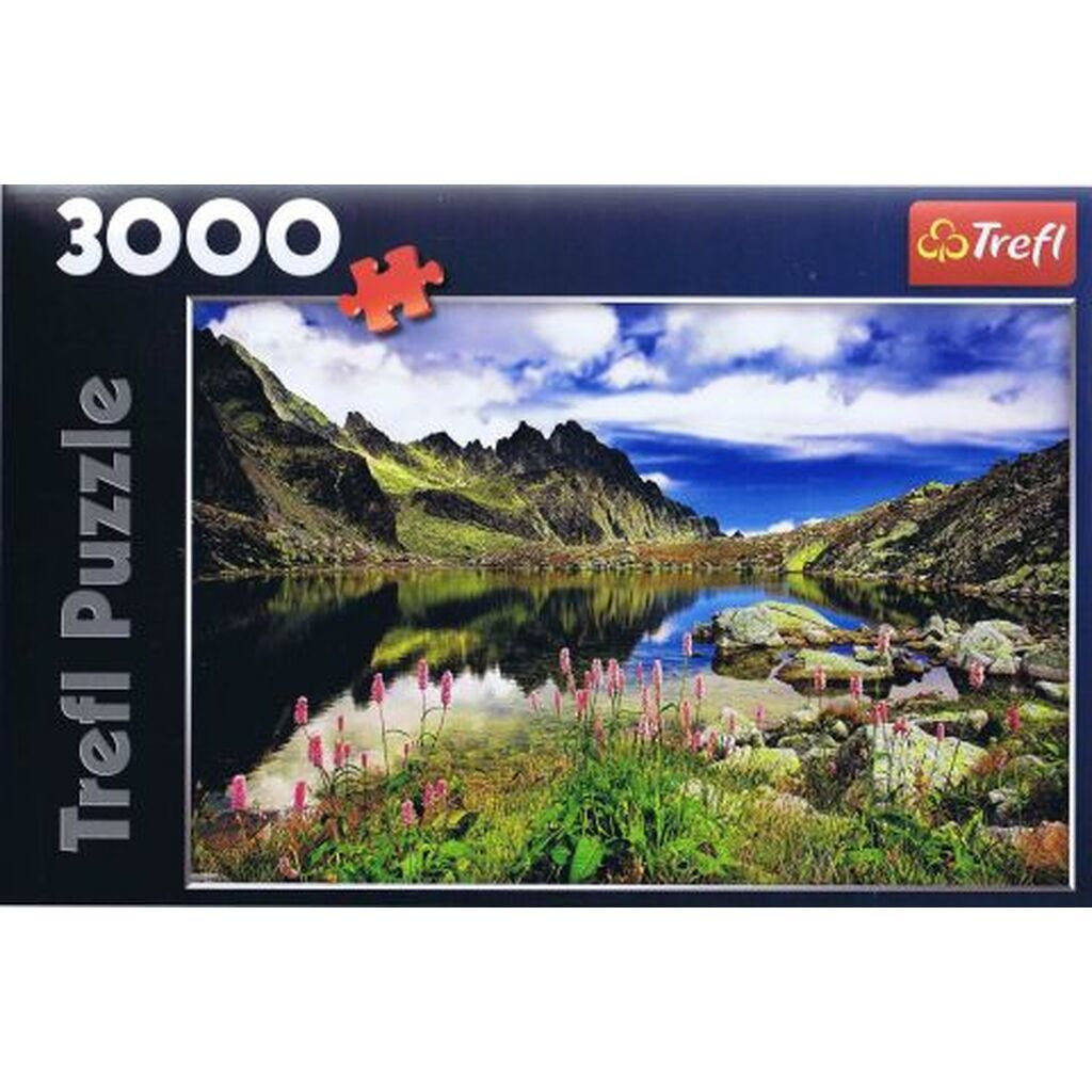 Starolesnianskii Pond, Slovakia - 3000 brikker