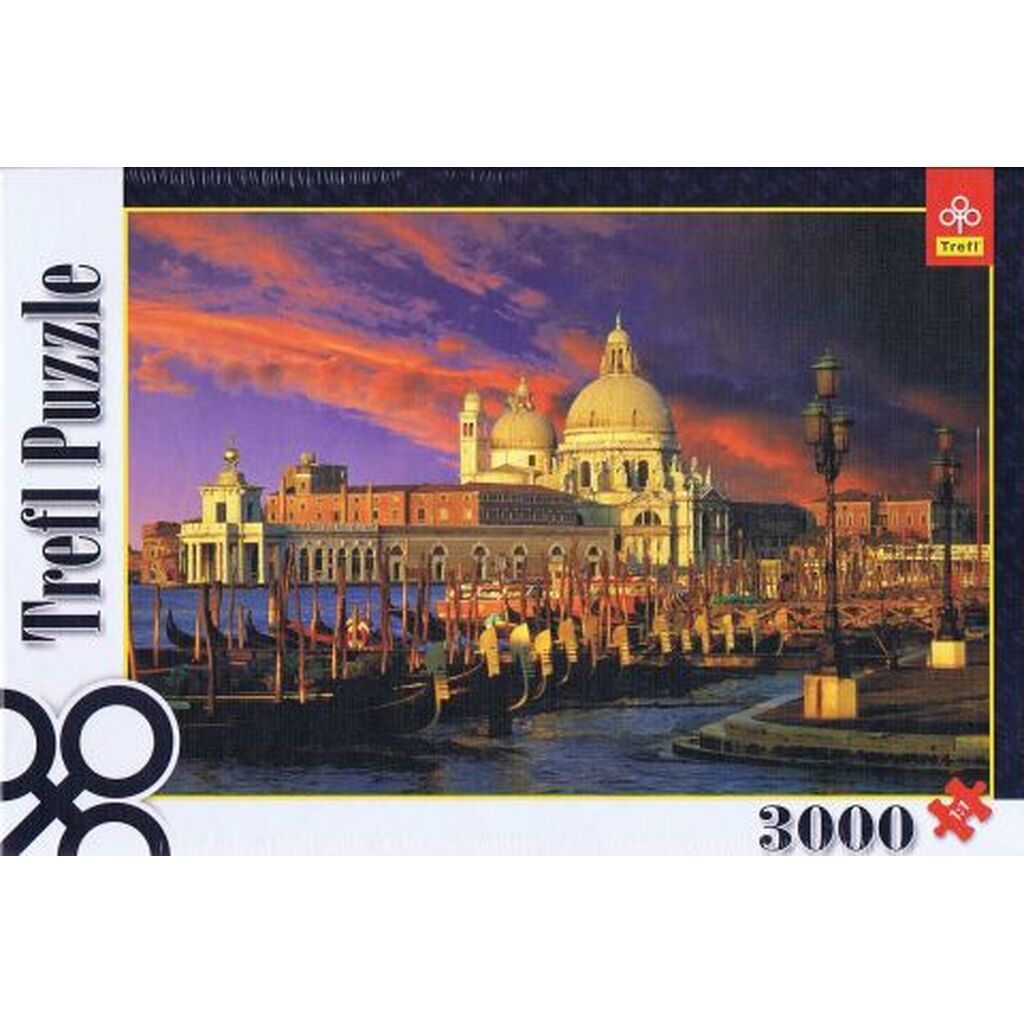 Santa Maria Della Salute, Venice, 3000 brikker
