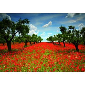 Poppy Field, 1000 brikker