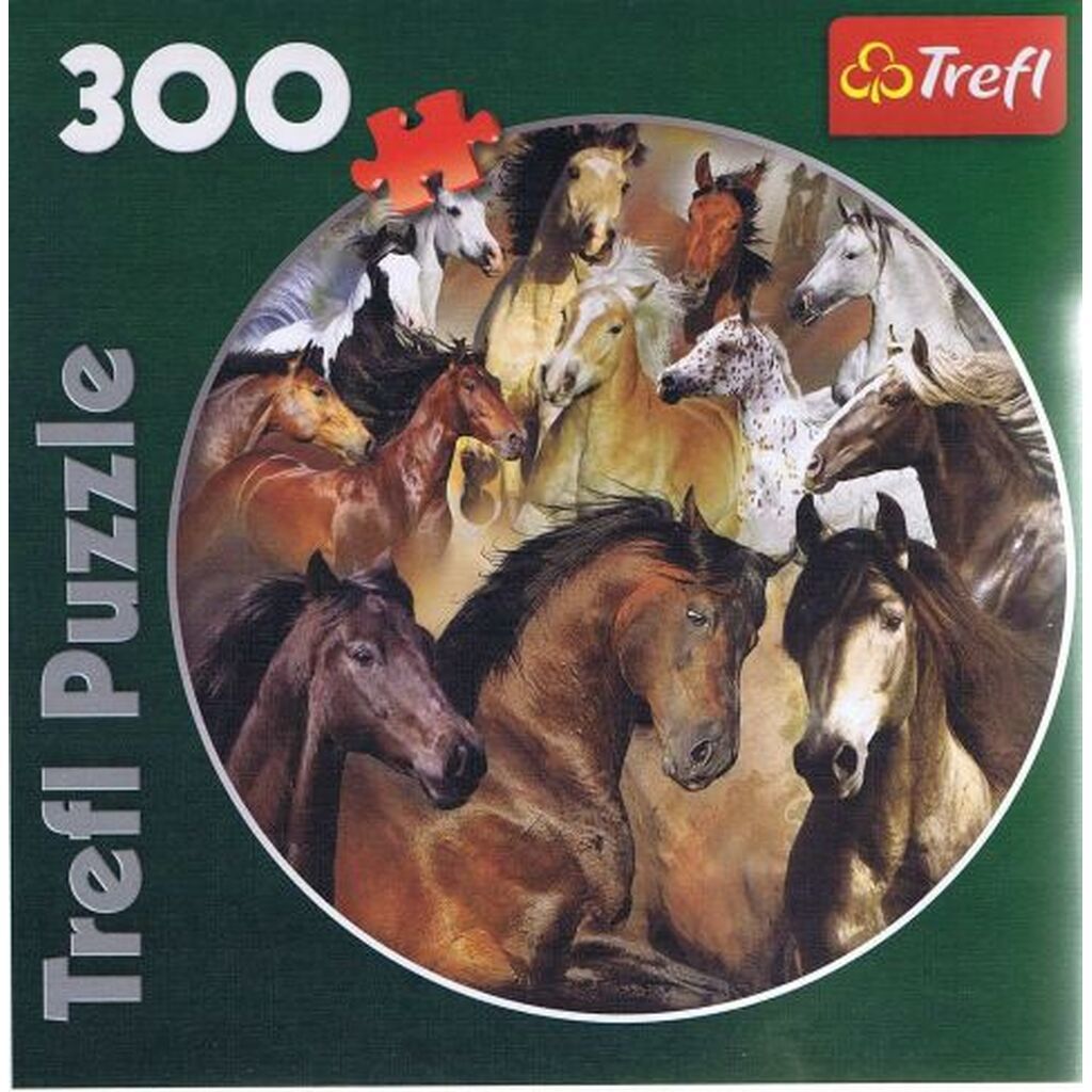 Horses - 300 brikker