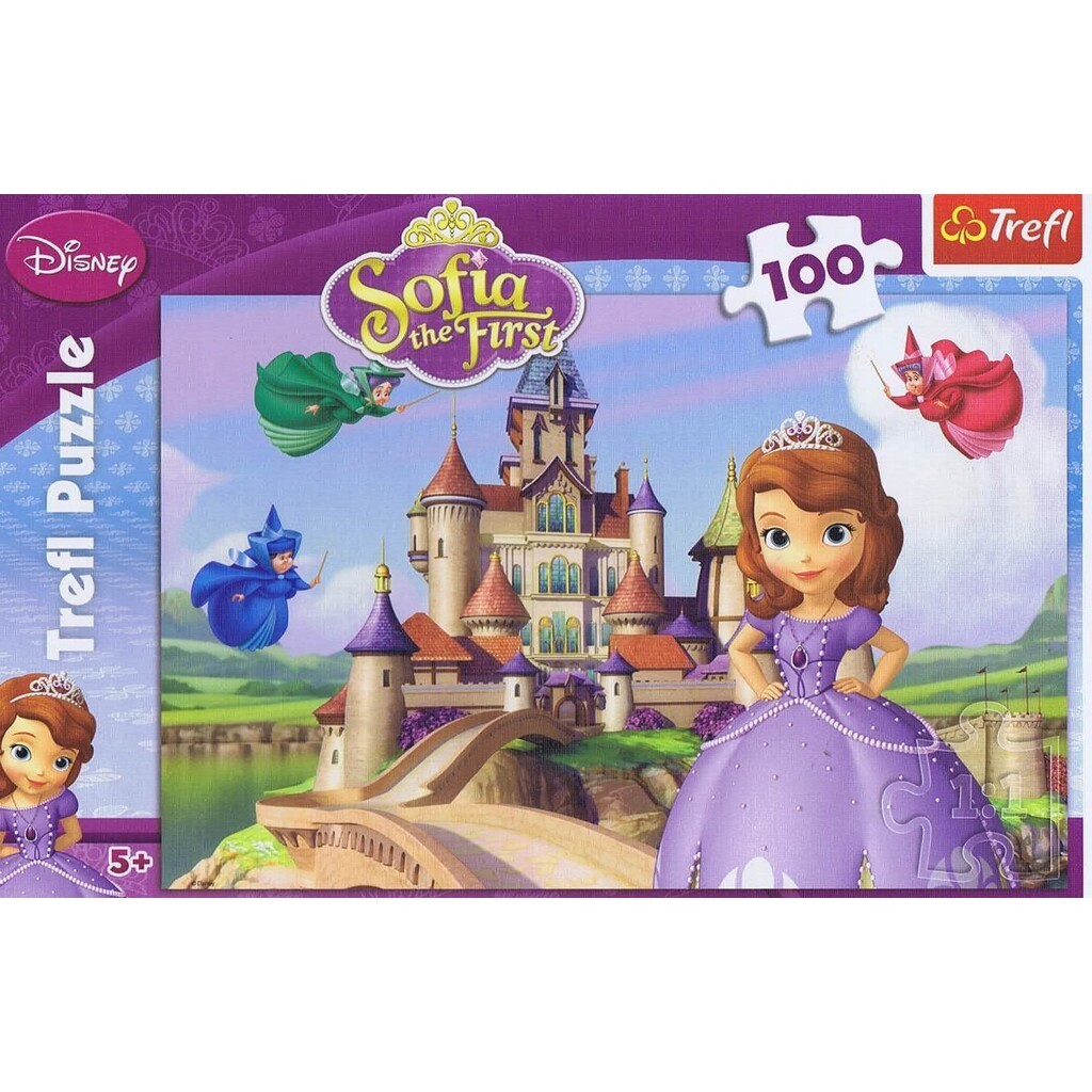 Sofia the First, 100 brikker