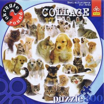 Our Pets, 300 brikker