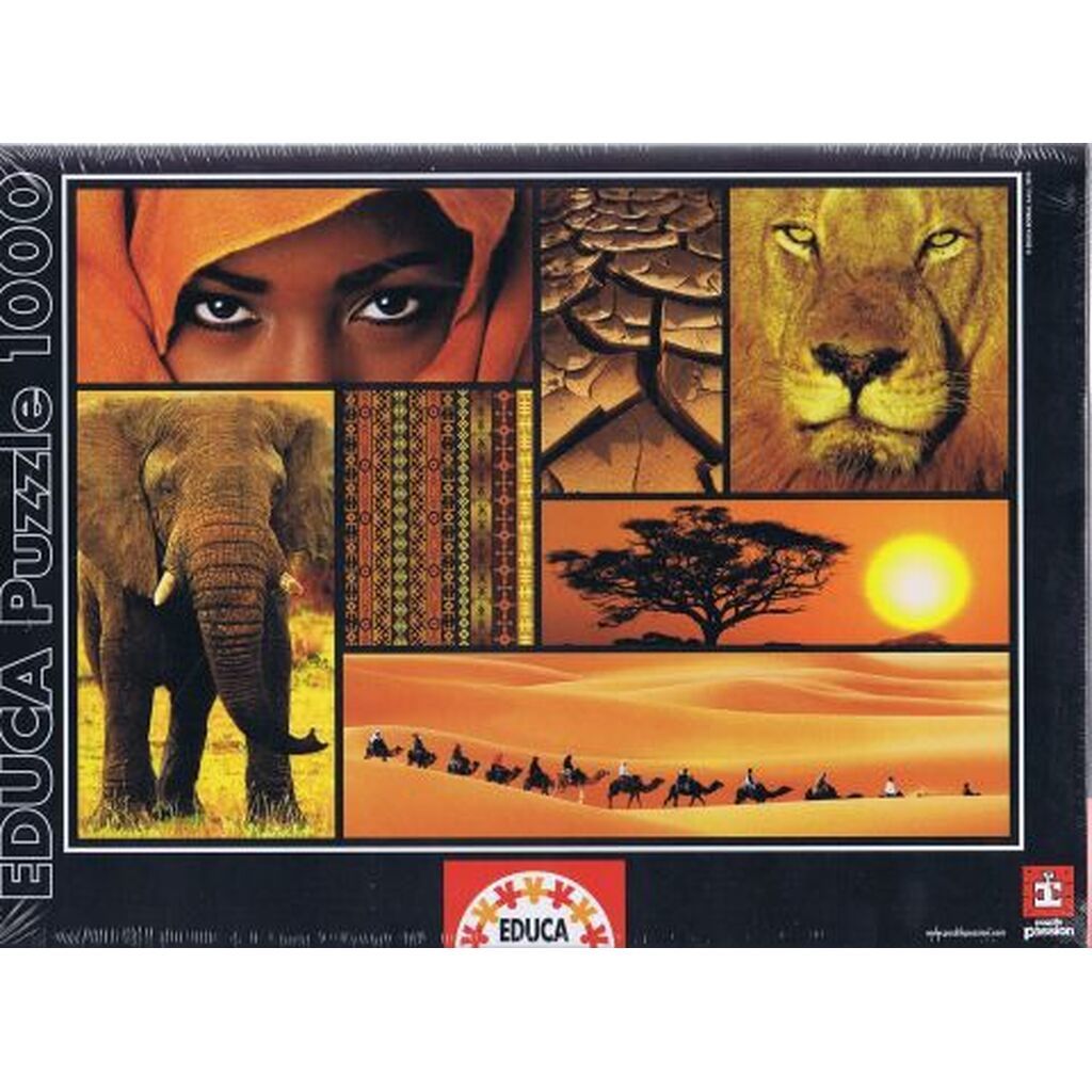 Colours of Africa, 1000 brikker