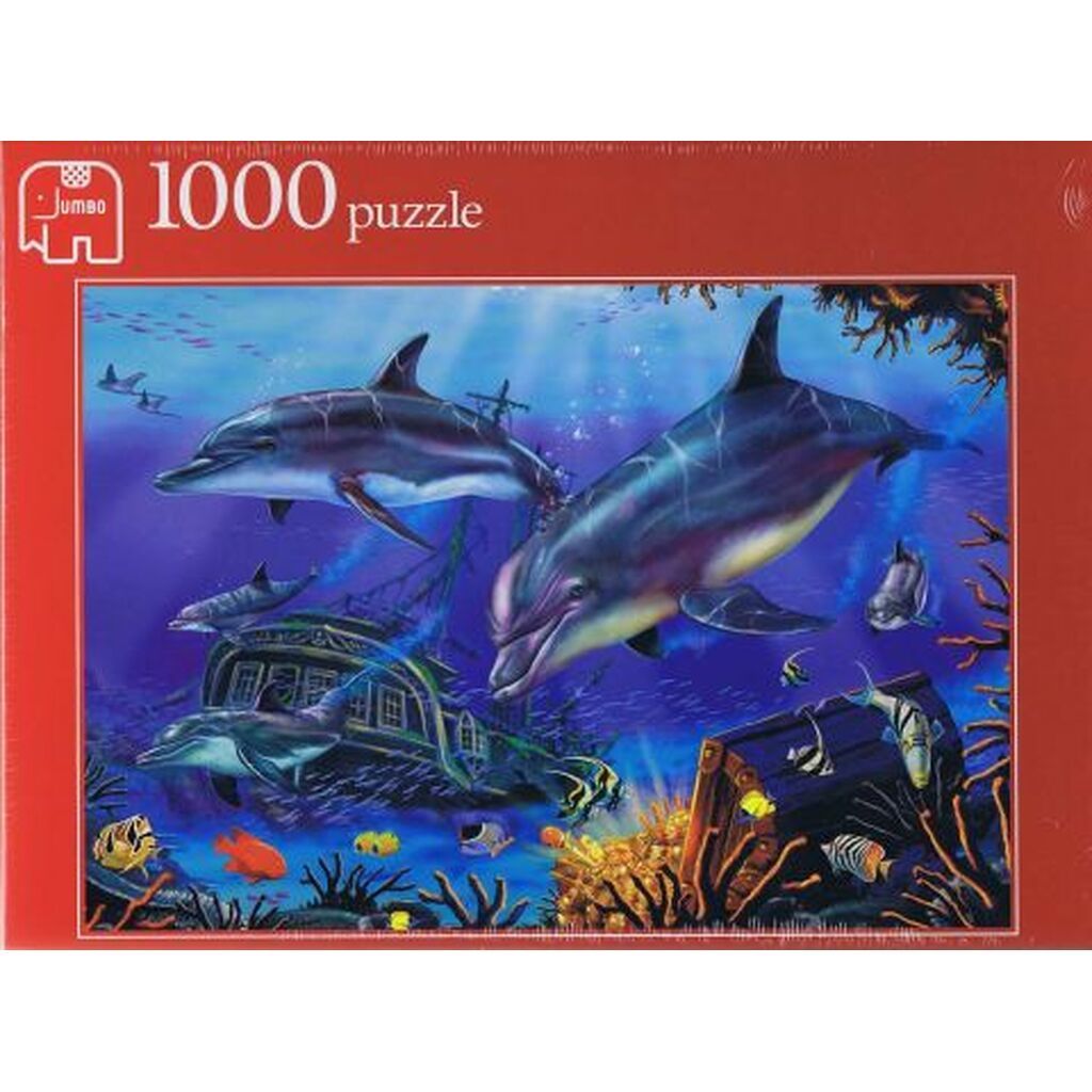 Dolphin Explorers - 1000 brikker