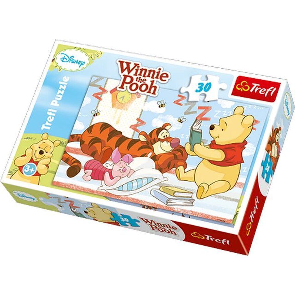 Winnie the Pooh 30 brikker