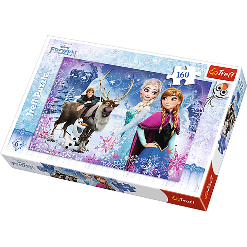 Frozen Vinter eventyr - 160 Brikker