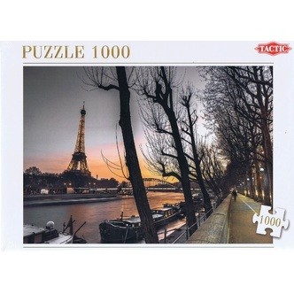 Paris - 1000 brikker