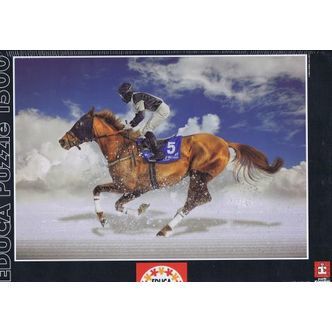 White Turf Final, 1500 brikker