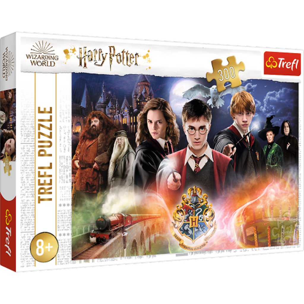 Harry Potter - 300 brikker