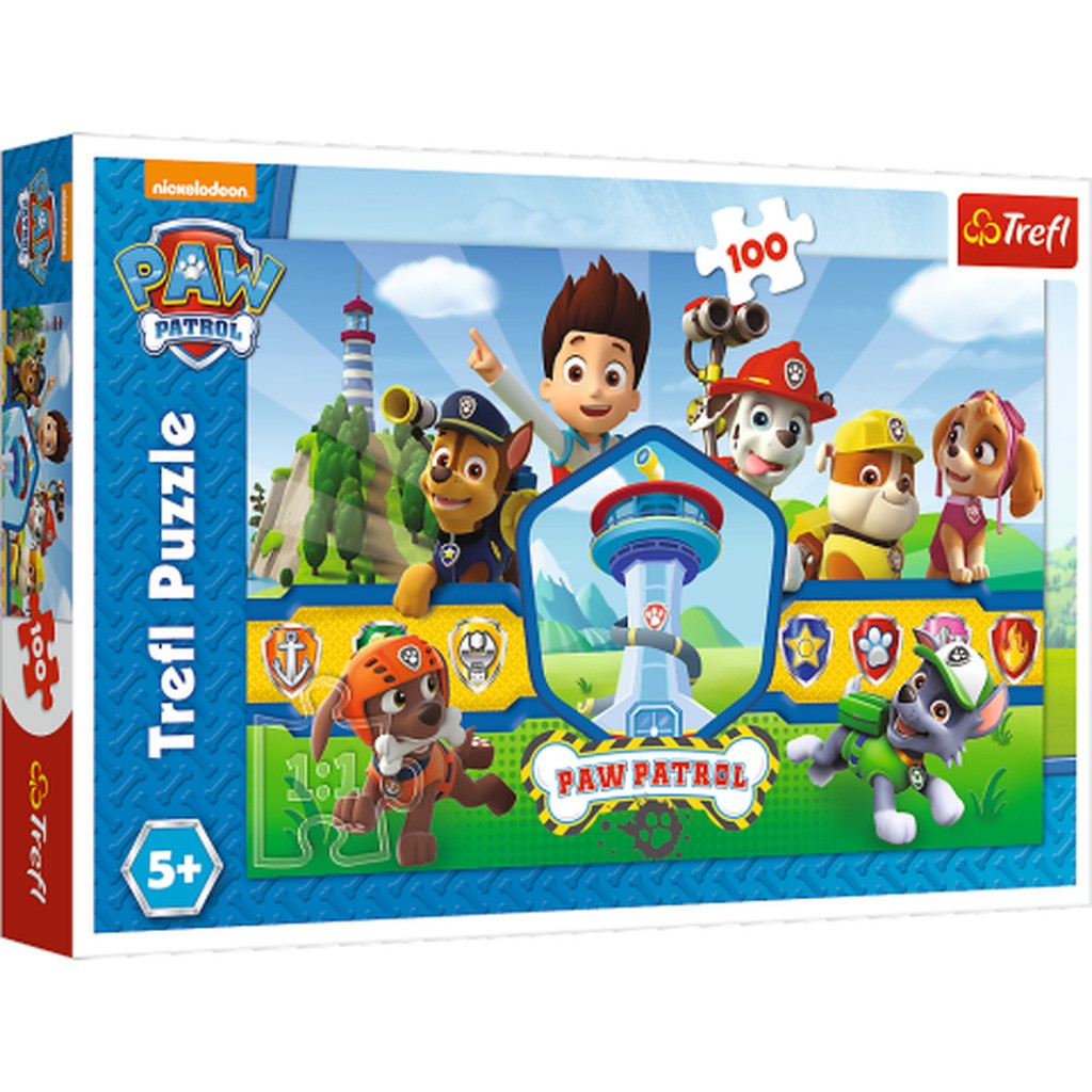 Paw Patrol - 100 brikker