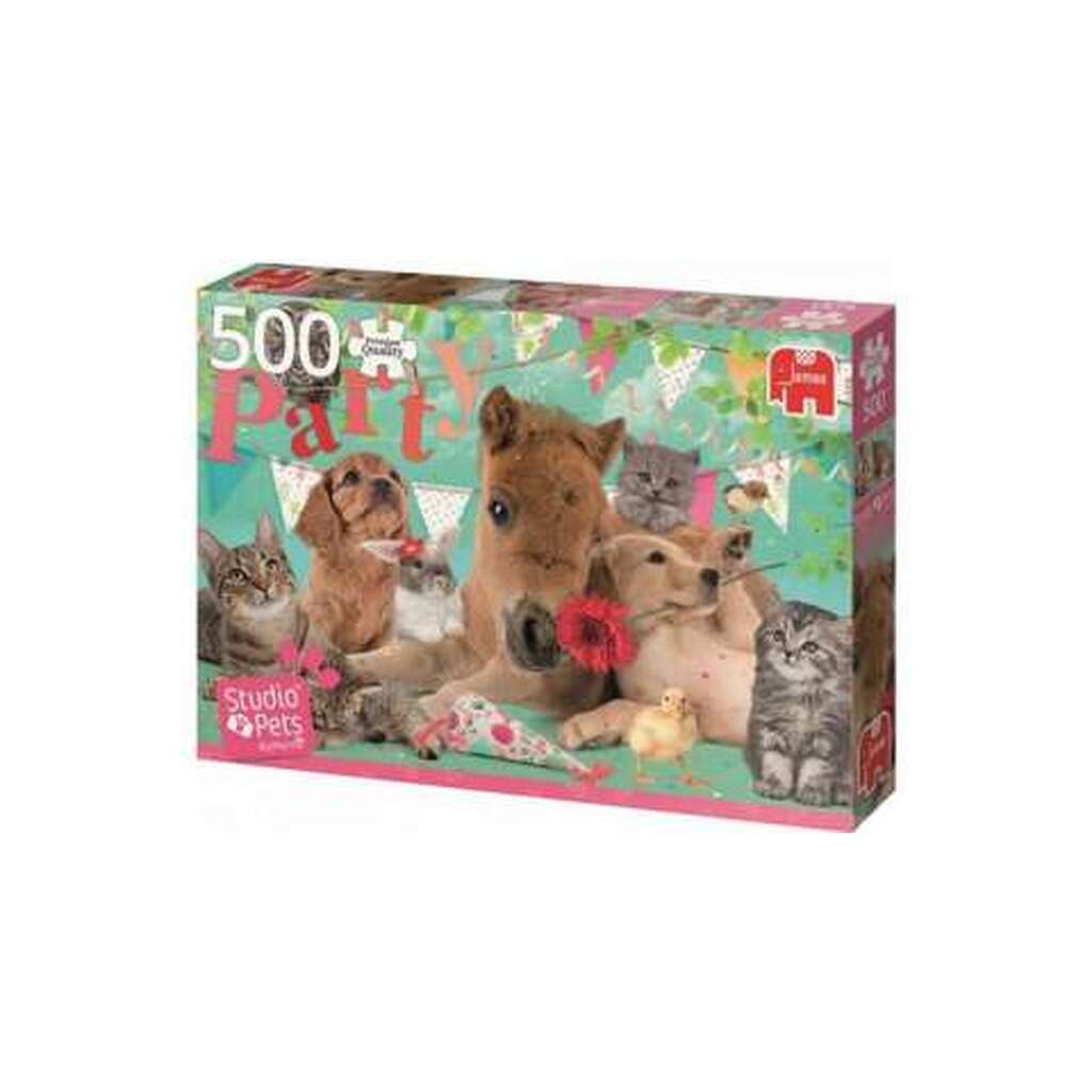 Studio pet happy birthday, 500 Brikker