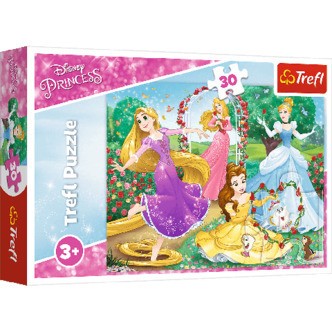 Disney prinsesser i haven - 30 brikker
