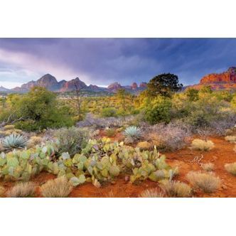 Red Rock Dusk - 4000 brikker
