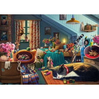 Cats in the Attic - 500 Brikker