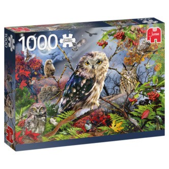 Owls in the Moonlight - 1000 brikker