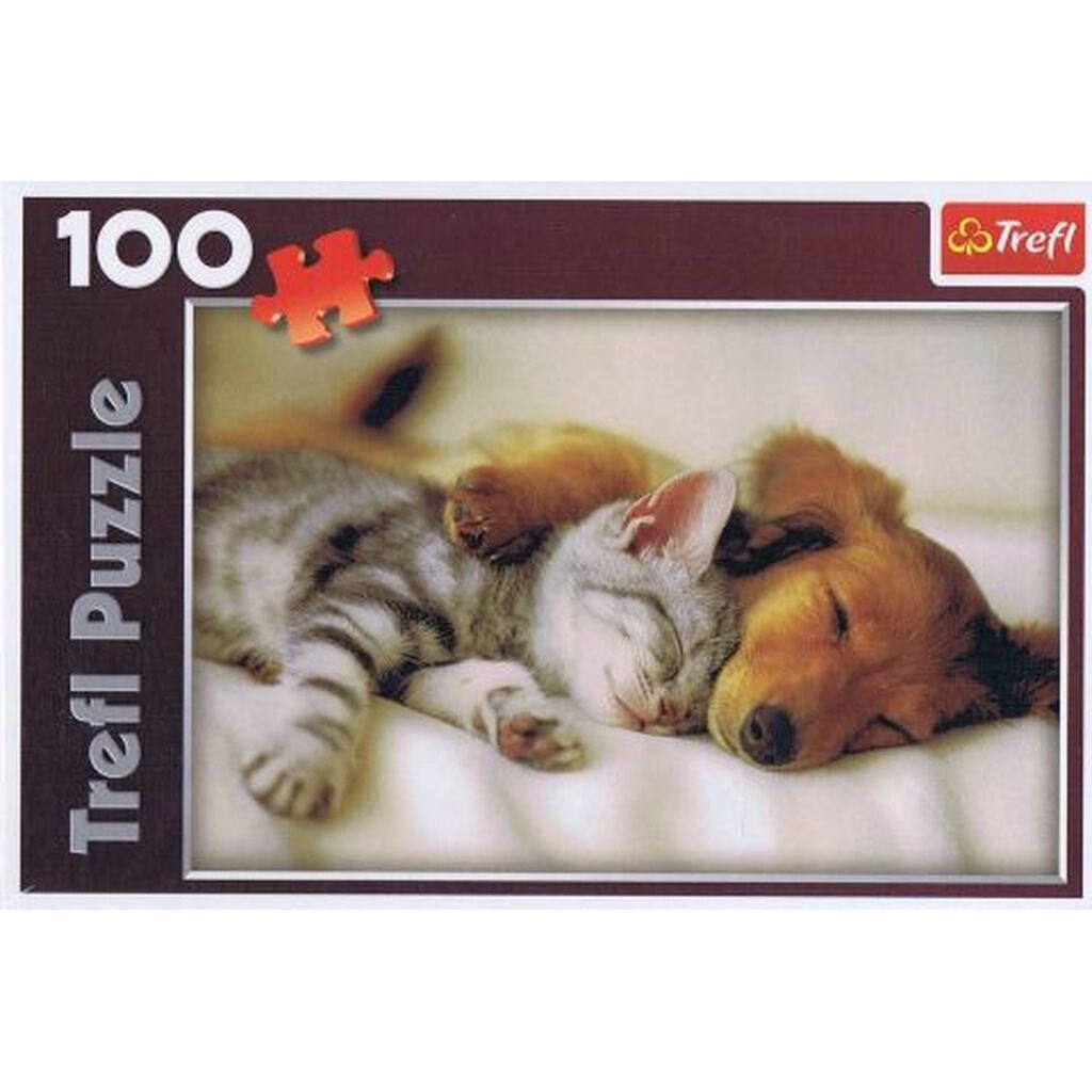 Sleeping Puppies, 100 brikker