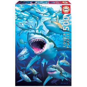 Shark Club, 500 brikker