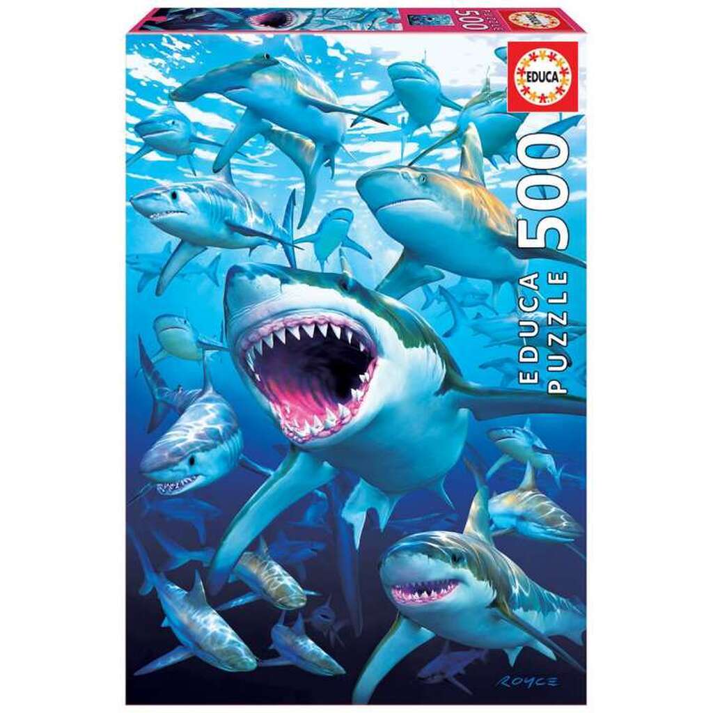 Shark Club, 500 brikker
