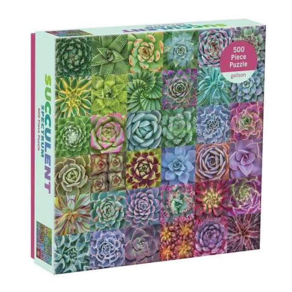 Succulent Spectrum - 500 brikker