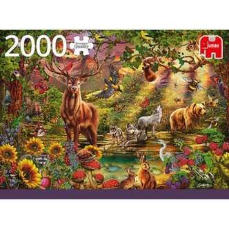 Magic Forest - 2000 brikker
