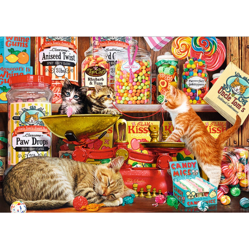 Cat&#39;s sweets - 1000 Brikker