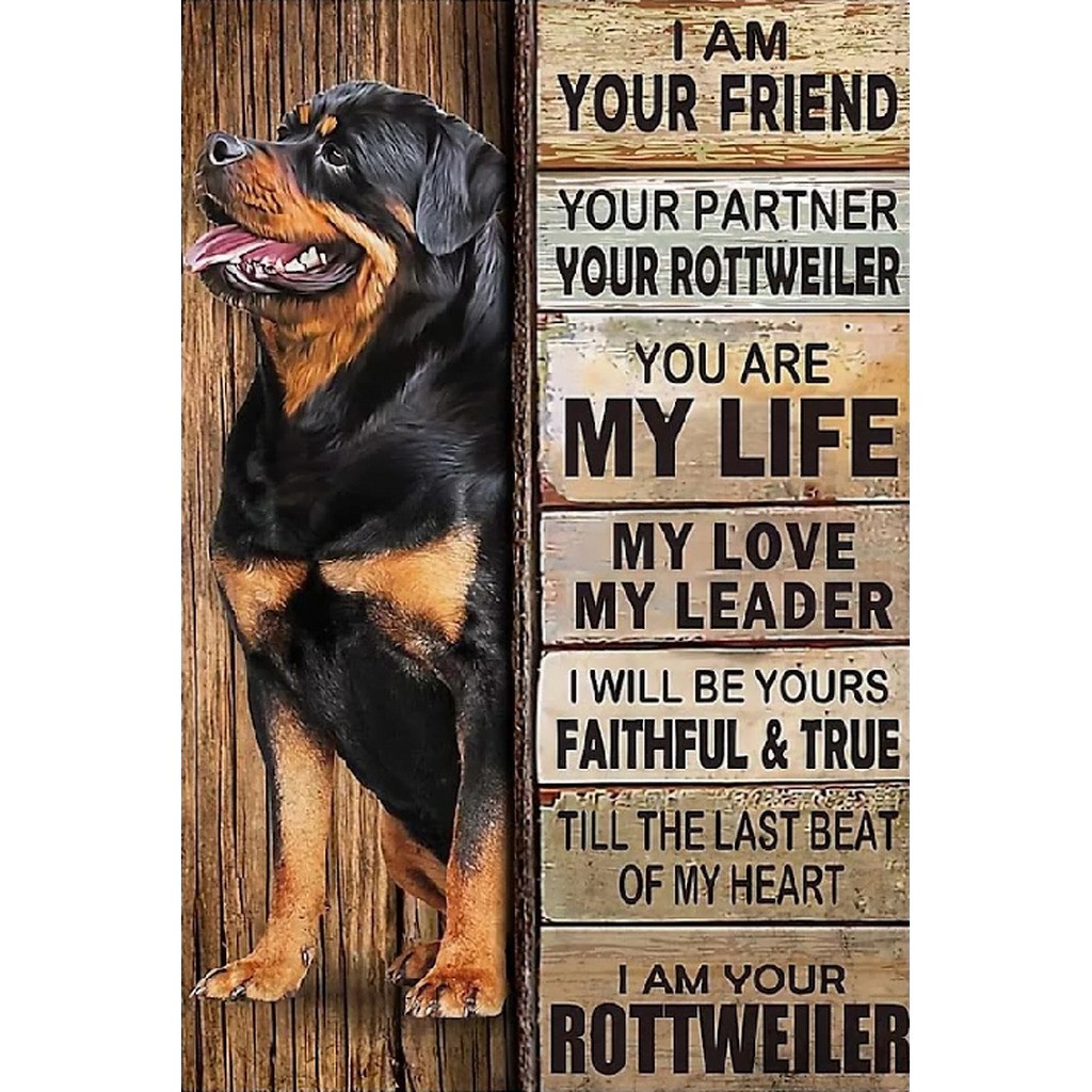 Rottweiler friend - Firkantede sten - 50 x 75 cm - Lærred, sten, pen, bakke, gele, poser til stenene