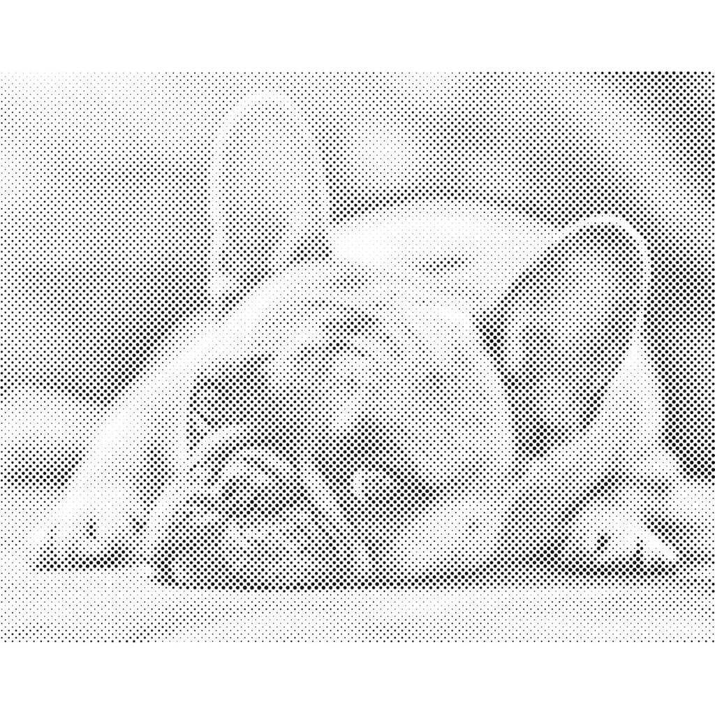 Mal med Prikker - Bulldog - Opspændt på ramme - 40 x 30 cm