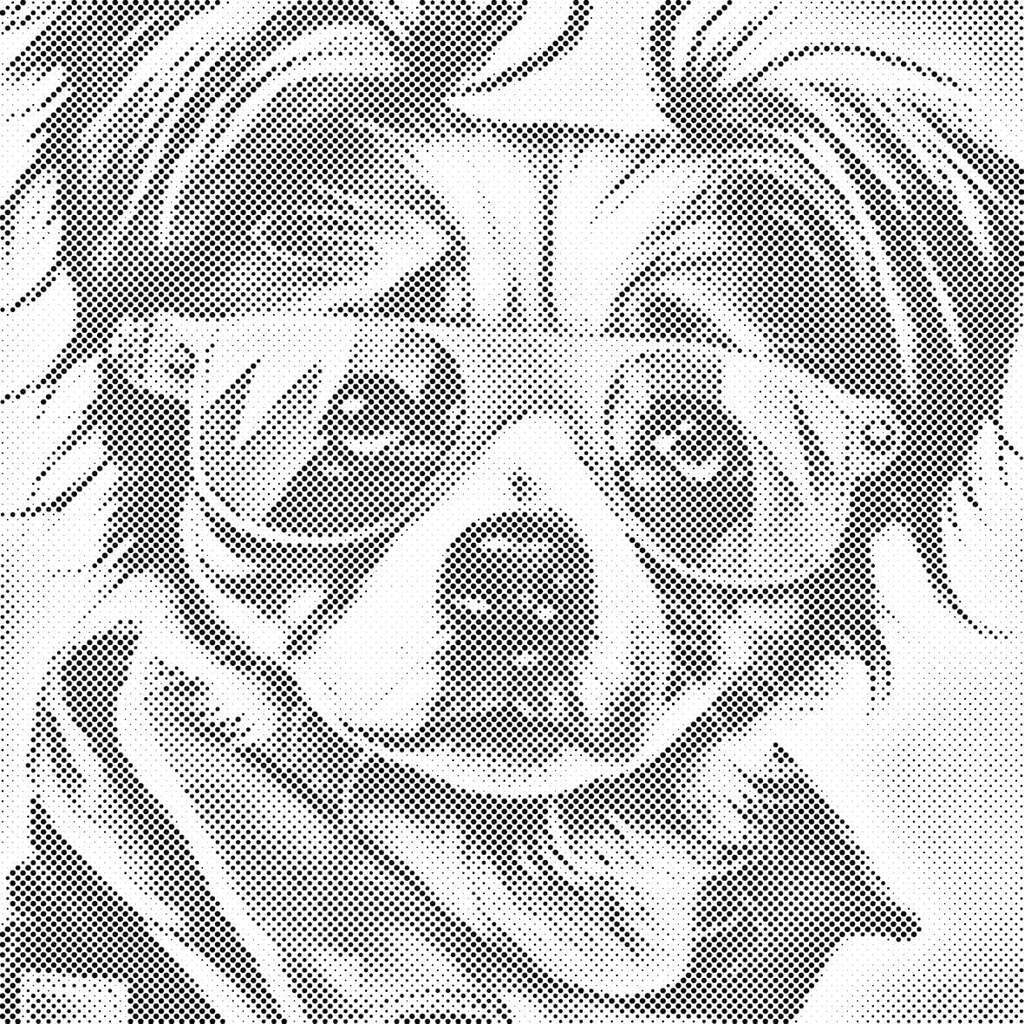 Mal med Prikker - Hund med solbriller - Opspændt på ramme - 50 x 50 cm