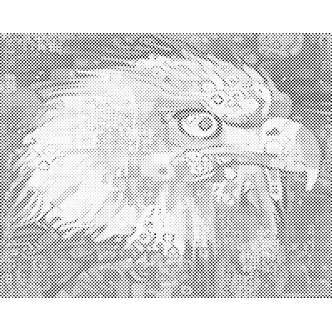 Mal med Prikker - Flot ørn - Uden ramme - 40 x 30 cm