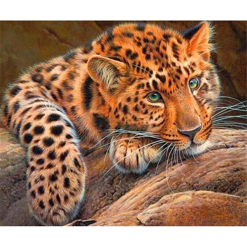 Leopard - Runde sten - 50 x 60 cm - Lærred, sten, pen, bakke, gele