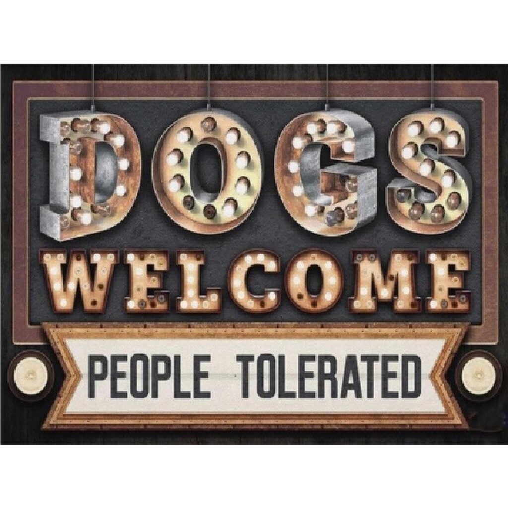 Dogs welcome, people tolerated - Firkantede sten - 60 x 45 cm - Lærred, sten, pen, bakke, gele