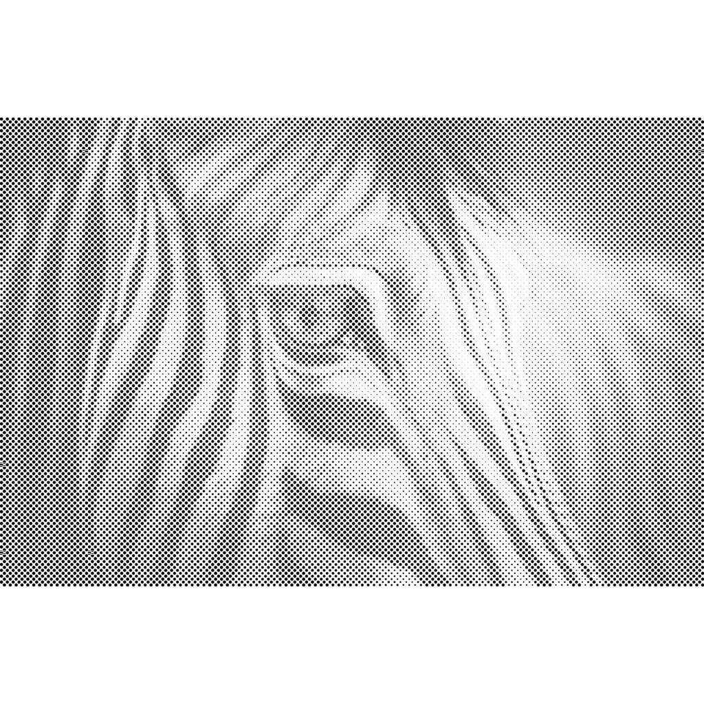 Mal med Prikker - Zebra - Opspændt på ramme - 80 x 60 cm