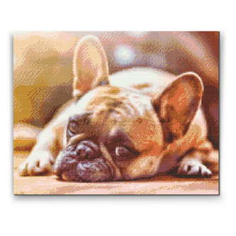 Bulldog (A) - Premium - Firkantede sten - 100 x 80 cm - Lærred, sten, pen, bakke, gele, poser til stenene - Uden ramme