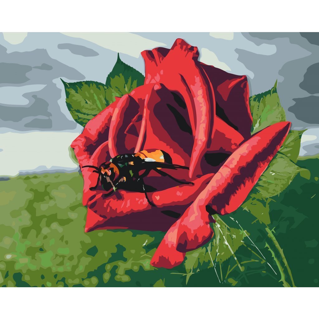 Bi på rose - Paint by Numbers Premium - 40 x 30 cm - med-saml-selv-ramme