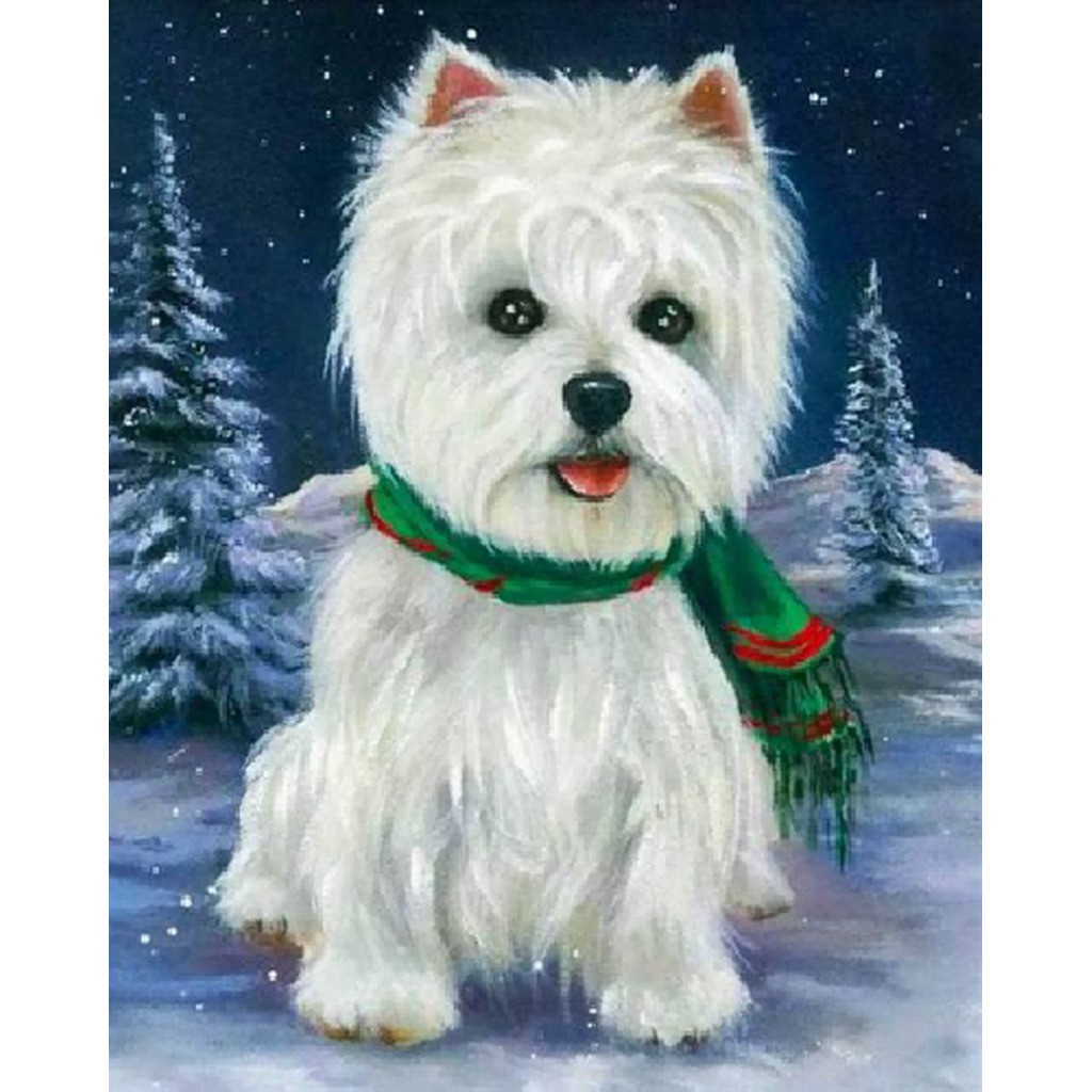 West Highland White Terrier med tørklæde - Firkantede sten - 40 x 50 cm - Lærred, sten, pen, bakke, gele, poser til stenene