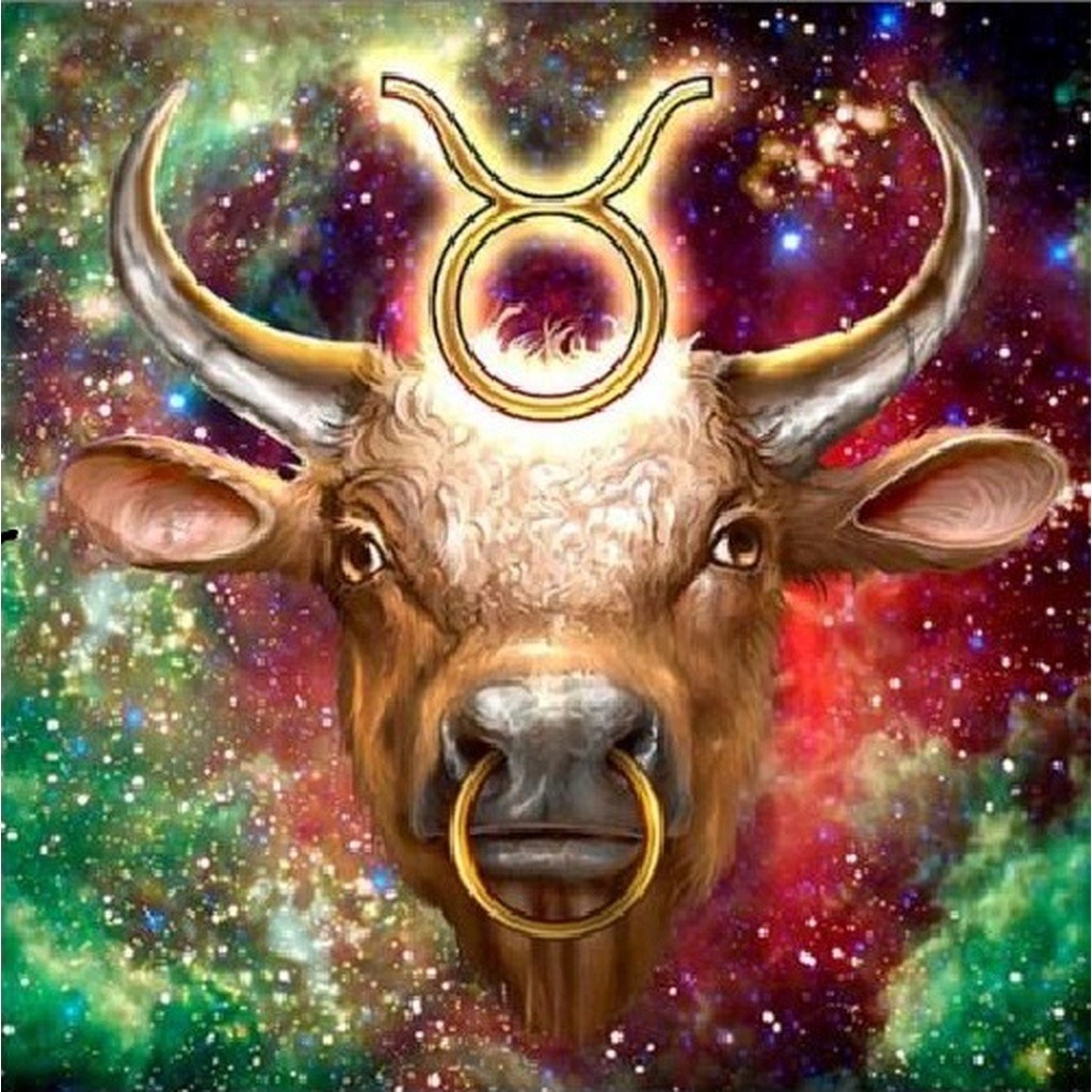 Stjernetegn Tyr - Firkantede sten - 50 x 50 cm - Lærred, sten, pen, bakke, gele